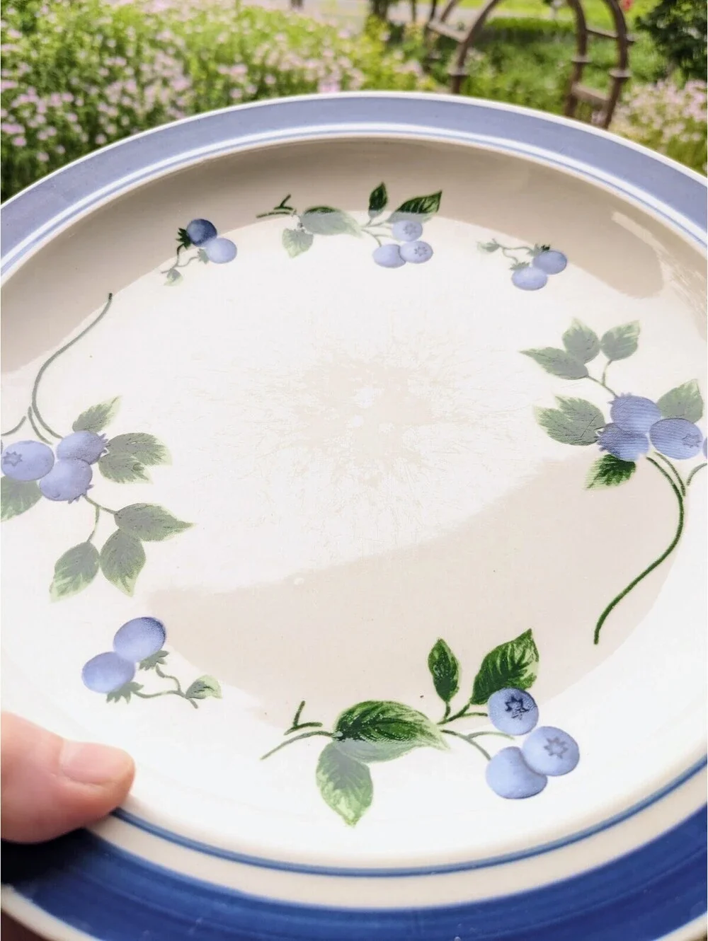 Vintage L.L. Bean Blueberry Dinner Plates, 11